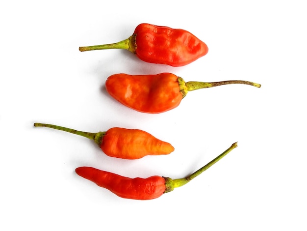 Chili pepper isolated on a white background hot red chili pepper