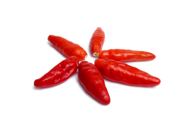 Chili pepper isolated on a white background