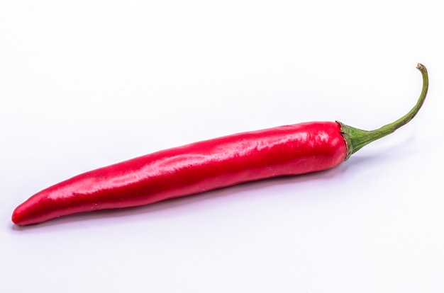 Chili pepper isolated