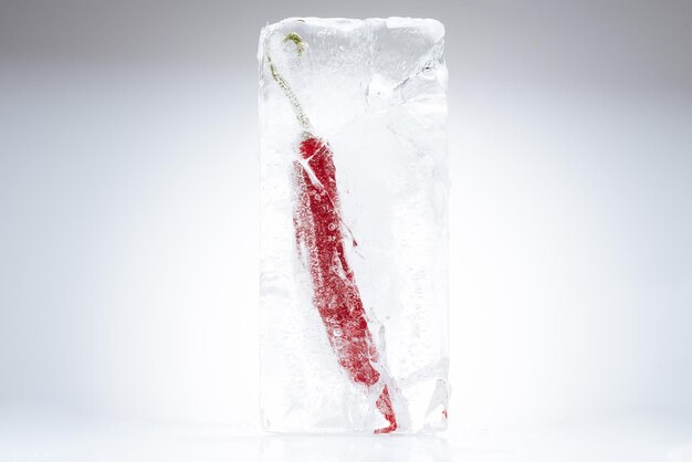 chili pepper in melting ice