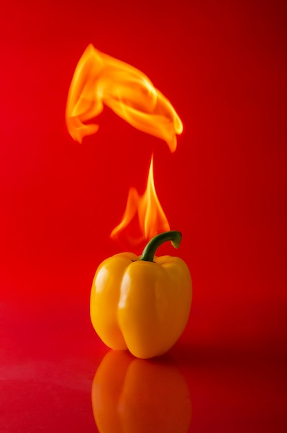 Chili pepper red on fire, burning pepper, hot pepper, on a red and black wall