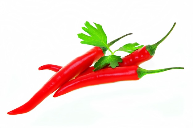 Chili pepper on white background