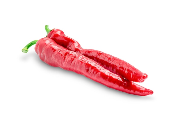 chili pepper on white background