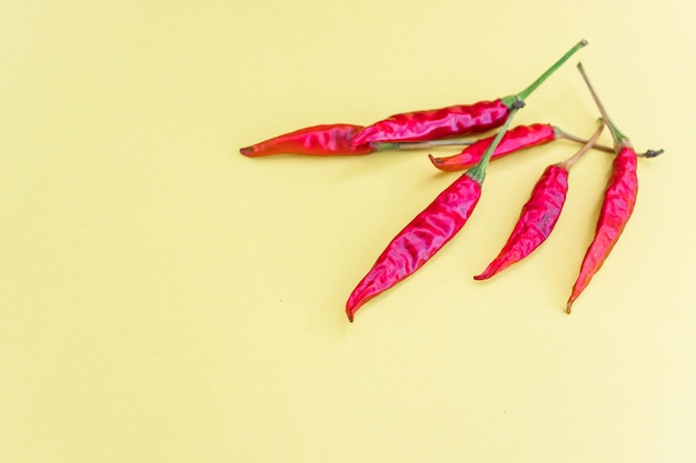 Chili pepper on a white and dark background