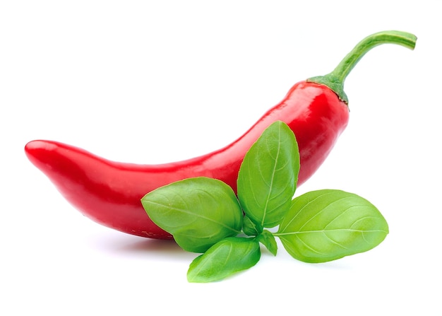 Chili pepper with basil herbs