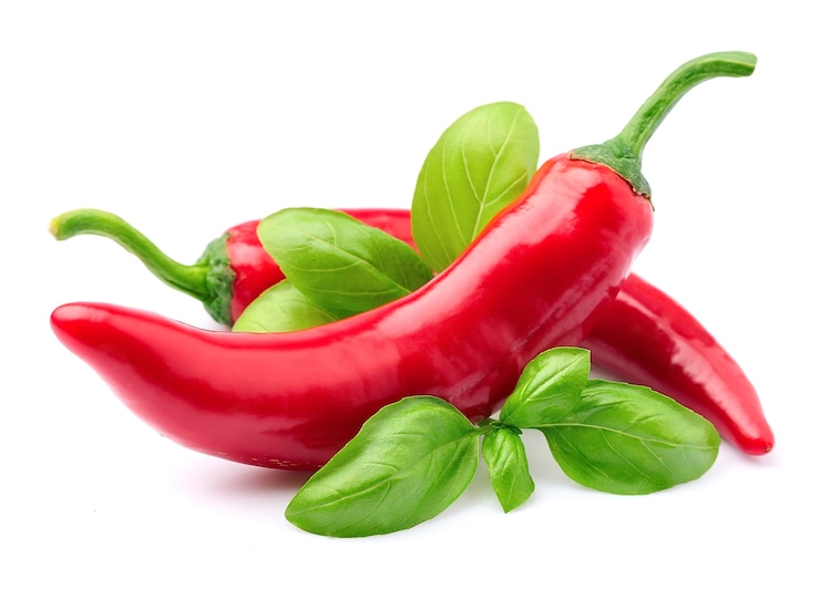 Photo chili pepper with basil on white
