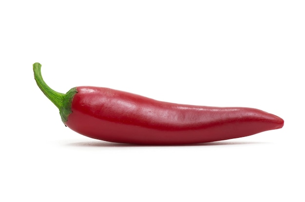 Chili pepper