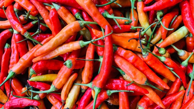 Chilies are displayed at the spice shop Traditional market Lombok Satan