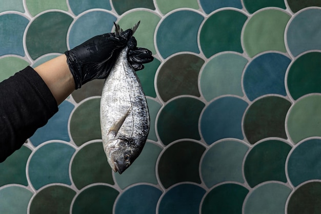 chilled bream in a fish shop