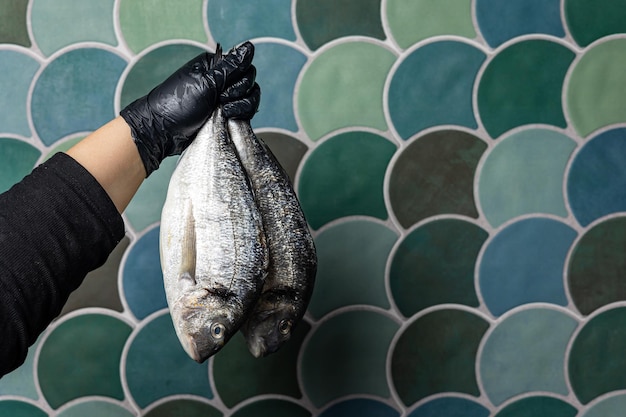 chilled bream in a fish shop