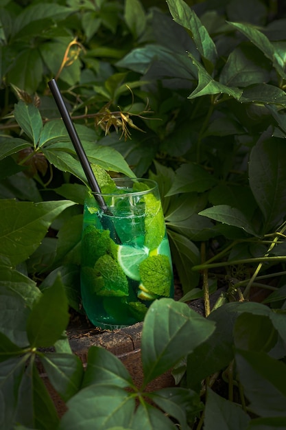 Chilled lemonades with ice in gardens