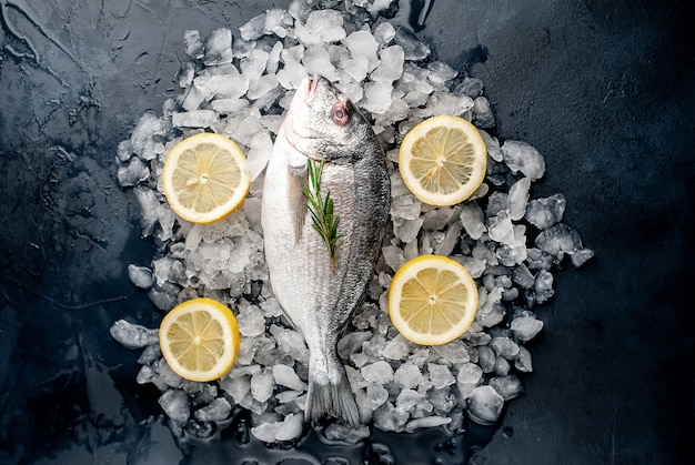 chilled raw sea bass and dorado fish with lemon and rosemary on ice, on a stone background