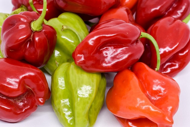 chilli paper in the white background