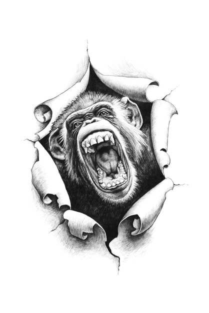 Photo chimpanzee with open mouth breaks through the paper