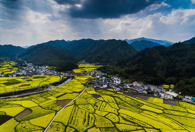 CHINA ANHUI ANCIENT VILLAGE IN RAPESEED FIELDS