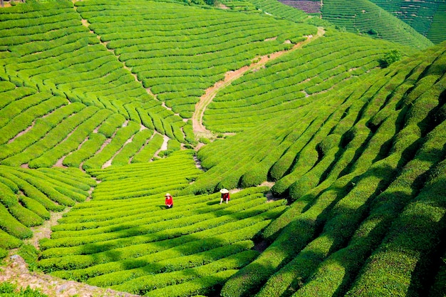 写真 中国の美しい街の自然風景写真