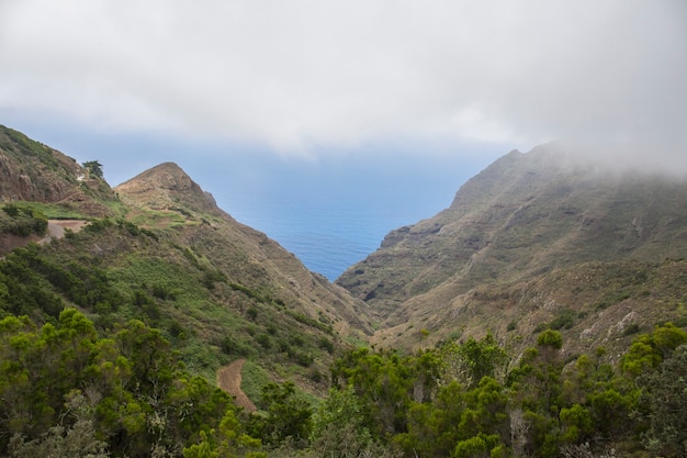 Chinamada, Anaga massif, Tenerife.