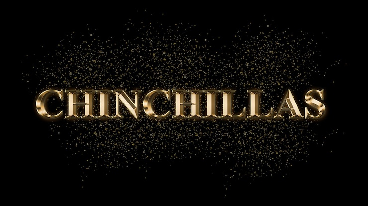 Фотография chinchillas золотой текст эффект золотой текст с искрами золотое покрытие текст эффект имя животного