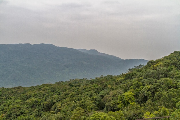 Chinees jungle-eiland Hainan