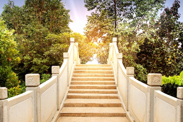 Chinese arch bridge with trees