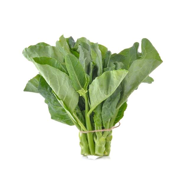 Chinese broccoli on white background