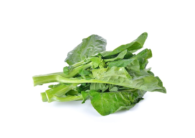 Chinese broccoli on white wall