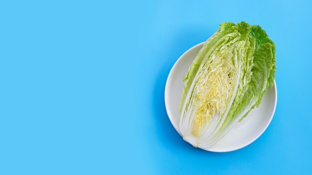 Chinese cabbage on blue