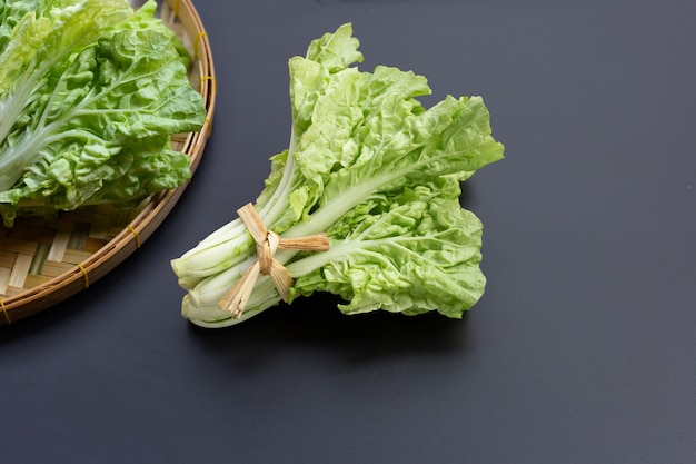 Chinese Cabbage on dark wall.