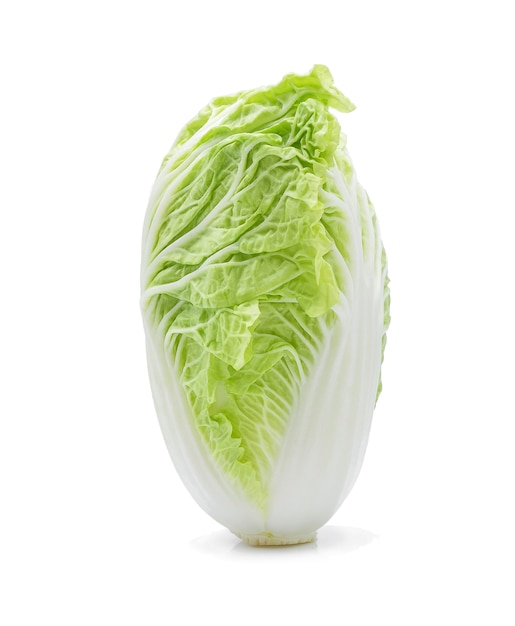 Chinese cabbage isolate on white