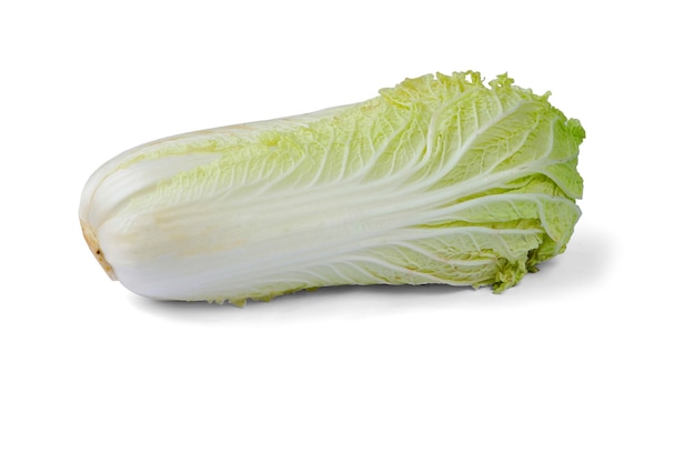 Chinese cabbage isolated on a white background