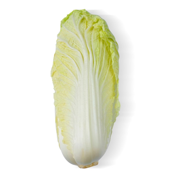 Chinese cabbage isolated on a white background