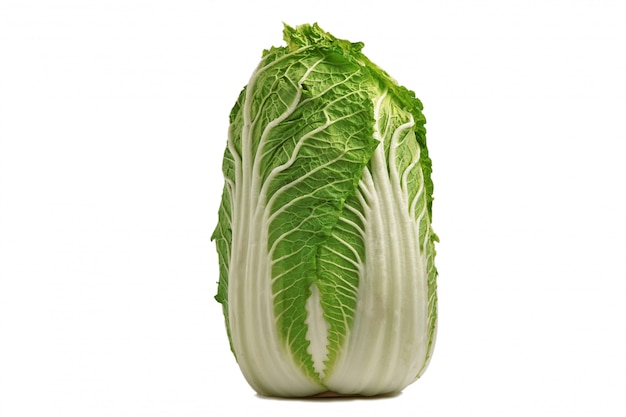 Chinese cabbage isolated on white background