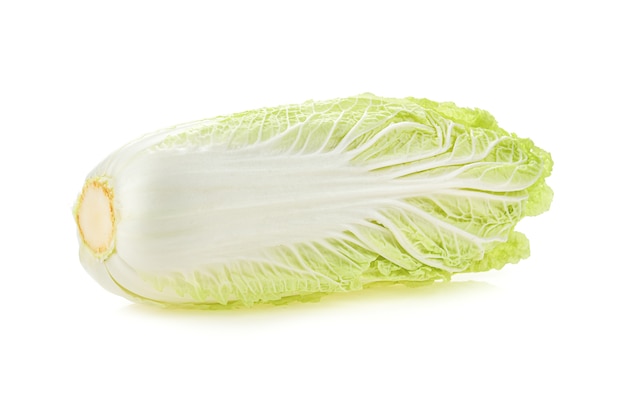 Chinese Cabbage isolated on white