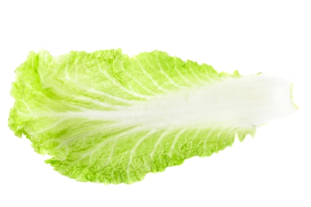 Chinese cabbage leaf