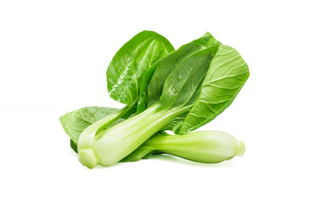 Chinese cabbage