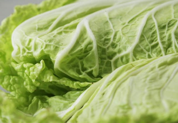 Chinese cabbage