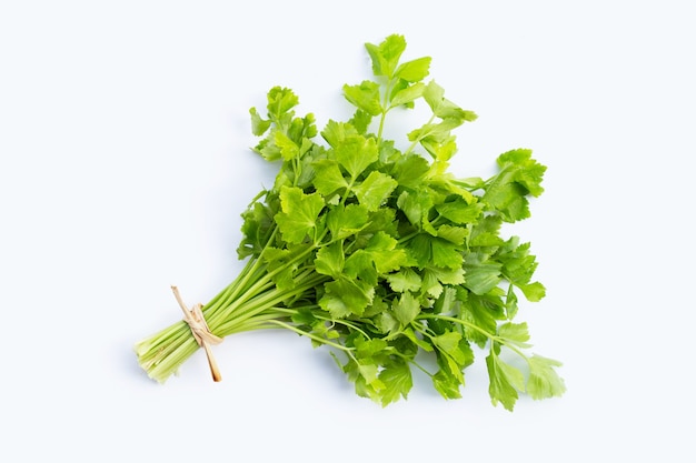 Chinese celery on white background