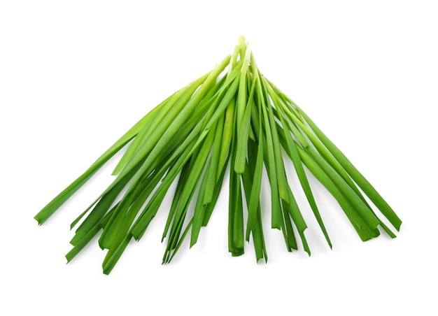 Chinese chives, Garlic chives isolated on white background