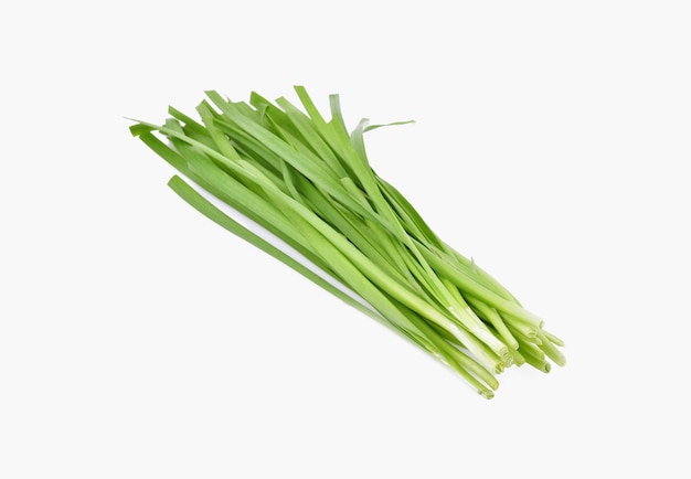 Chinese chives, Garlic chives isolated