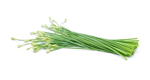 Chinese chives on white background