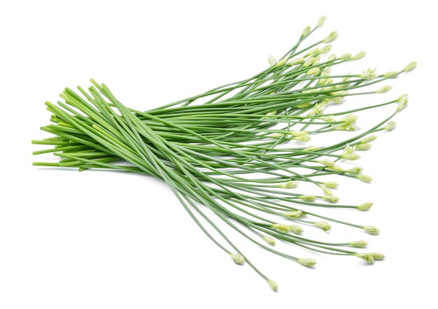 Chinese chives