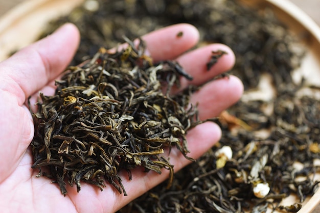 Photo chinese dry tea on hand, jasmine tea dried for brew tea, leaf black tea