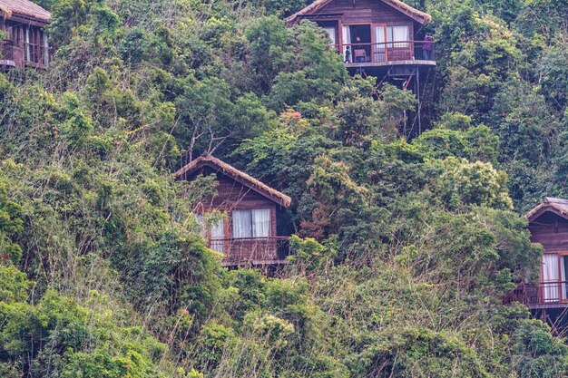 Chinese jungle island of Hainan