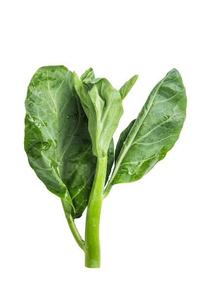 Chinese kale vegetable isolated on white background.