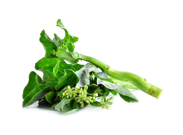 Chinese kale on white background