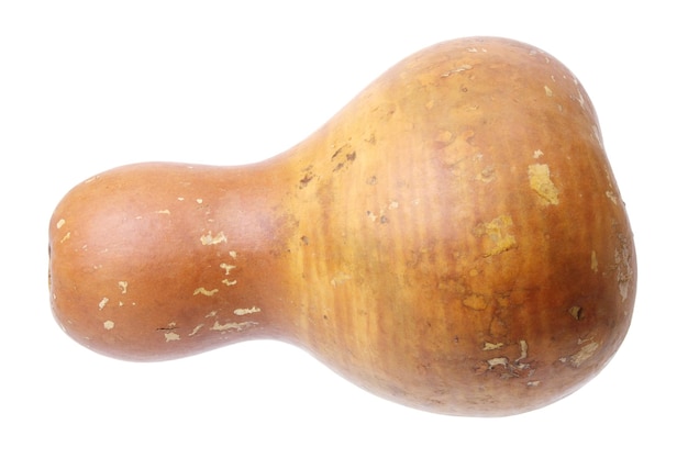 Chinese kalebas