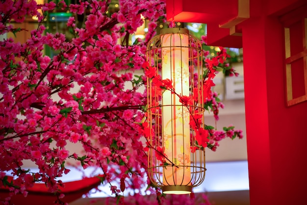 Chinese lantaarn op perzikbloesemboom