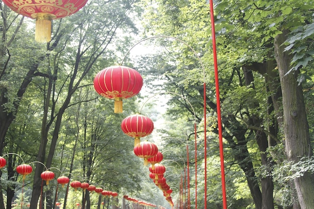 Chinese lantaarns in een park in Polen Warschau