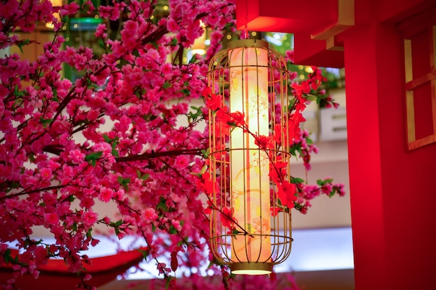 Chinese lantern on peach blossom tree