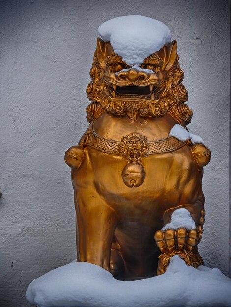 Chinese lion